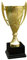 Large Silver Or Gold Presentation Cup Crusader Trophy Multi Award Free Engraving - Enter Your Own Custom Text (Gold)
