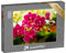 puzzleYOU: Puzzle 1000 Teile „Rosa Orchideen“ – aus der Puzzle-Kollektion Flora, Blumen, Pflanzen, Blumen & Pflanzen