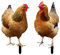 BESTonZON 2 Stücke Gartenstecker Gartenfigur Huhn Hühner Figur Gartendeko Tiere Stecker Dekofigur Osterdeko Statue Ostern Deko Figuren Acryl Zaunhocker Garten Statue Hof Dekoration
