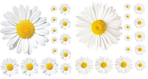 Wandtattoo Blumen Wandsticker Für Wohnzimmer Und Schlafzimmer Selbstklebende Deko Form Von Kleinen Gänseblümchen 60cm x 32cm Dekorative Wandaufkleber Für Stilvolle