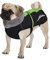 Dociote Hundemantel - reflektierende & wasserdichte Winterjacke mit Bauchschutz Hundejacke Fleece gefüttert Wintermantel für kleine mittelgroße Hunde Grün XL