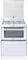 Cucina a Gas con Forno elettrico e Lavastoviglie incassata Larghezza x Profondità 60x60 cm colore Bianco - 4GWNT/1 Trio