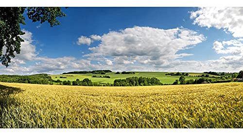 Aoihraan 4,5x2,5m Campagne Terres Agricoles Arrière Plan Atterrissage Campagne Champ Blé Vert Prairie Prairie Récolte Printemps Été Nature Paysage Photographie Enfants Adultes Studio Shot Studio Prop