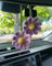 Häkeln Sie Gänseblümchen-Autozubehör für Frauen und Mädchen, niedlicher Rückspiegel, hängende Charms, handgefertigt, Gänseblümchen-Blume, Auto-Dekor, Automobil-Innenausstattung, ästhetisch (