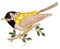 K16 Broche en forme d'oiseau