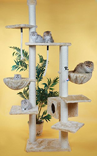CLEVERCAT Kratzbaum Modell Exclusiv, extra stabil durch den stufenlos verstellbaren Deckenspanner mit vielen Schlaf- und Aussichtsmöglichkeiten in vielen Farben lieferbar Made in Germany