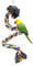Andiker Bird Perches, Parrot Colorful Climbing Rope Swing Toys Parrot Stand with Bell and Hanging Clip for Parrots, Budgies, Macaws, Parakeets, and Other Small Birds (50cm)