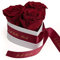 ROSEMARIE SCHULZ Heidelberg Infinity Rosenbox Herzform - 3 ewige Rosen Dunkelrot haltbar 3 Jahre 10 x 12 cm (Burgundy, Small)