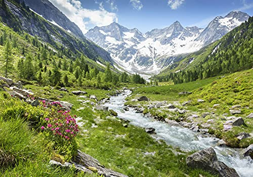 wandmotiv24 Fototapete Berge Alpen Wiese Bach, XS 150 x 105cm - 3 Teile, Wanddeko, Wandbild, Wandtapete, Wasser Schnee Wald Bäume Gras M6751