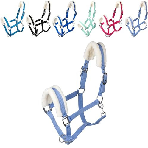 RL24 - Halfter mit Plüschpolsterung Basicline | Halfter für Pferde & Ponys | Pferdehalfter mit nietenverstärkten Verschlüssen & Karabinerhaken zum Öffnen | Pferde Zubehör in Babyblau | Vollblut