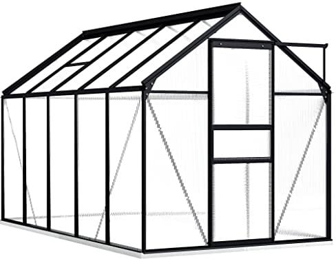 vidaXL Serre avec Cadre de Base Tente Abri Plantes Serre à Fleurs Serre à Plantes Jardin Extérieur Arrière-Cour Anthracite Aluminium 5,89 m²