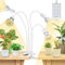 SANSI Lampada per Piante a LED con Timer 4/8/12 Ore, 40W Lampada da Coltivazione a Spettro Completo, Equivalente a 600W, con 4 Lampadine E27 per Piante da Interno, Crescita e Germinazione di Piantine