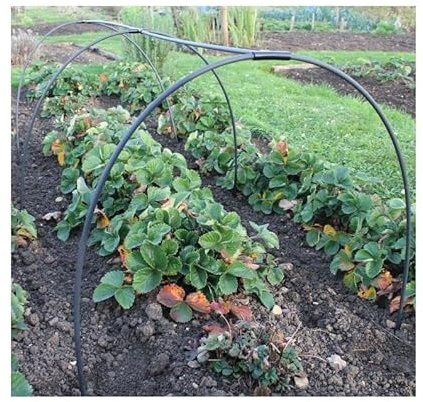 Flexible Black Garden Hoop Tunnel No Netting 2.7m Long 1.2m Wide and 60cm High