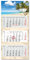 Timr 3-Monatskalender 2025 Palmenstrand I Wandkalender 3 Monate I 33 x 70 cm I mehrsprachig D/GB/F/ES Jahresplaner mit Schieber I Mehrblatt-Kalender Strand-Urlaub Meer türkis I tr258