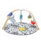 Melissa & Doug Meeres-Spiel-Gym zum einfachen Zusammenklappen Entwicklungsspielzeug für Kleinkinder, umdrehbare Matte, 5 Plüschtiere, von der Geburt bis 9 Monate