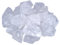 Bergkristall Wassersteine 1kg | 100% naturbelassene Edelsteine Heilsteine | Echte unbehandelte Rohsteine für Edelsteinwasser Lebensquelle Plus