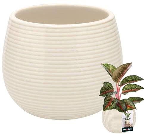KOTARBAU® Blumentopf Cremefarbe Keramik Rund ⌀ 12 cm Höhe 14 cm Glasiert 1 St. Groß Übertopf Pflanztopf Blumenübertopf Pflanzkübel
