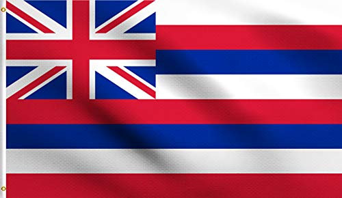DMSE Hawaii-Flagge, Hawaii-Staat, Hawaii-Flagge, 90 x 150 cm, 100% Polyester, 100 D Flagge, UV-beständig 3' X 5' Ft Foot 3' X 5' Ft Foot