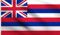 DMSE Hawaii-Flagge, Hawaii-Staat, Hawaii-Flagge, 90 x 150 cm, 100% Polyester, 100 D Flagge, UV-beständig 3' X 5' Ft Foot 3' X 5' Ft Foot