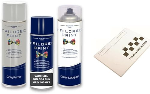 For Vauxhall 2000-Present Son Of A Gun Grey 10 D Gk3 Aerosol Spray Paint Professional Wide Fan Spray Nozzle (Aerosol Paint, Lacquer + Primer)