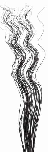 Tall Spiral Willow Twigs Bunch For Floor Standing Vases And Displays 40 Twigs by Homestreet® (BLACK)
