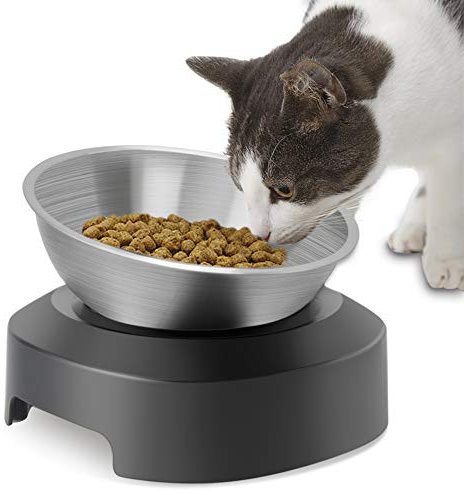 TANGN Gamelle Chat Surélevée, Acier Inoxydable,Bol pour Chat avec Support Antidérapant,Gamelle Eau pour Chats Orthopédique Anti-Vomissements, Design Ergonomique et Lavable au Lave-Vaisselle (1 Bol)
