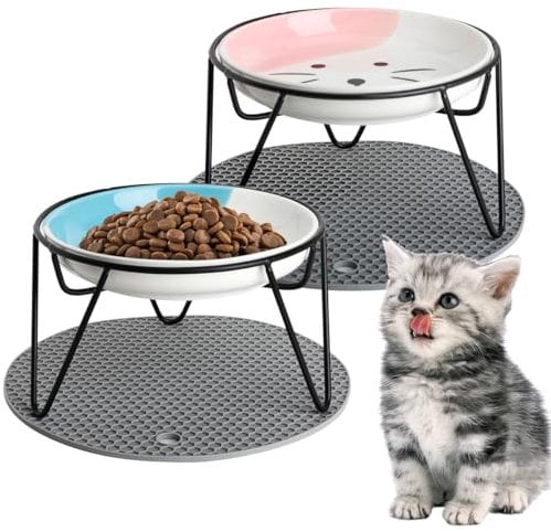 Quyimy 2Pcs Cat Bowl, Ceramic Raised Cat Food Bowl, Elevated Pet Bowl,Anti Vomiting Cat Feeding Bowl, Non Slip Cat Dish with 2 Non-Slip Mats (Blue&Pink)