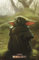 Tainsi Baby Yoda-The Mandalorian Poster Wandposter Wohnzimmer 28 x 43 cm