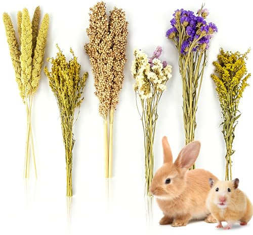 Sukh Natürliche Hamstereinstreu – Hamstersprays, Hamster-Käfig-Zubehör, Hamsterversteck Lebensraum, Dekorationen für syrische Zwerghamster, Rennmäuse, Mäuse und andere Kleintiere