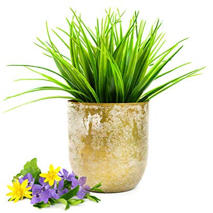 Sendez Übertopf aus Metall Pflanzentopf Blumenkübel Blumenübertopf Vase Blumenvasen Blumentopf (Mattgold)