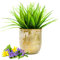Sendez Übertopf aus Metall Pflanzentopf Blumenkübel Blumenübertopf Vase Blumenvasen Blumentopf (Mattgold)