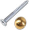 10x Brass Domed Cap Mirror Screws - 8mm x 1.5