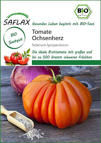 Saflax 18208 Tomate Ochsenherz (Bio-Tomatensamen)