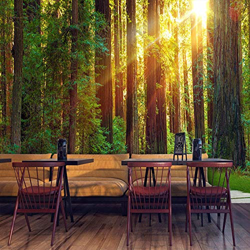 Papier Peint Photo Personnalisé Pour Murs De Chambre Bois Modernes Sous Le Soleil Fond De Photographie Mur Art Papier Peint Fresque 3D 200cm(L)×140cm(H)