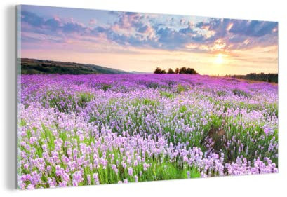 MuchoWow Glasbild Glasfoto Wandbild Bilder Deko 160x80 cm Lavendel - Blumen - Sonnenuntergang - Lila - Wiese