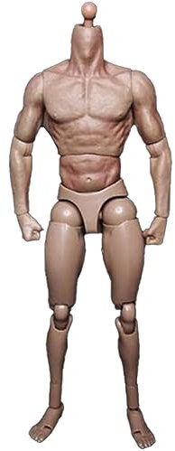 Pesderty Schmalschultrige Männliche Körperpuppen-Actionfigur im Maßstab 1:6 für TTM18 TTM19 Hot Toys & Skizzenmodell Des Menschlichen Körpers