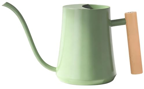 LanQii 1L Regadera Pequeña de Interior, 1000ml (35 oz) Acero Inoxidable Regadera de Jardín con Boquilla Larga y Mango de Madera para Maceta Interior Jardinería Flor Bonsái Plantas de Riego - Verde