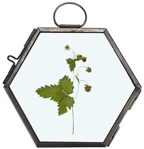 Natudeco Muster-Display-Rahmen, gepresste Blumen, Glasrahmen, getrocknete Blumen, Glas-Probenhalter, hängender geometrischer sechseckiger Kupferrahmen für Kunstwerke, Fotobilder, Wanddekoration
