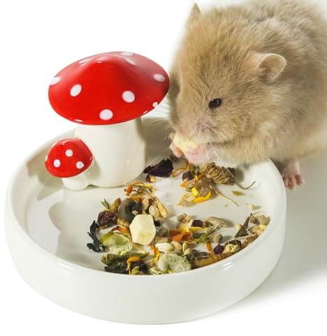 Niteangel Hamster Feeding & Water Bowls- Mushroom Ceramics Series Food Dish Feeding Bowls for Dwarf Syrian Hamsters Gerbils Mice Rats or Other Similar-Sized Small Pets (Feeding Bowl)