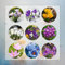 6 Pcs Krokus Zwiebeln, Safran Zwiebeln, Flowers Decoration, Zimmerpflanzen Krokusse Zwiebeln - Crocus Sativus - Bodendecker Winterhart Mehrjährig, Blumenwiese Blumenzwiebel, Balkonpflanzen