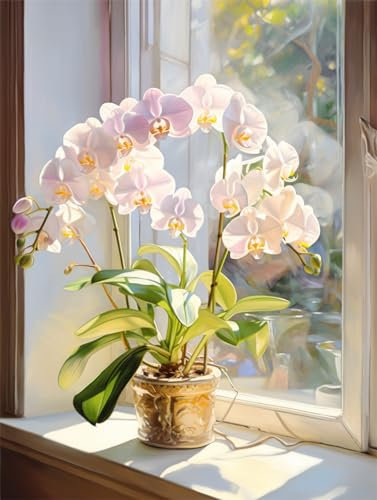 MIRONS Diamanten Puzzle Malerei Kits, Orchidee im Blumentopf,B,30 * 40cm DIY 5D Diamant Kunst Full Diamonds Bastel Leinwand Strass Stickerei Kunsthandwerk für Erwachsene Wohnwanddekor