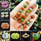 Portal Cool 50Pcs: 50 / 500X Lithops Ming lebendige Steine â€‹â€‹ige Bio-Garten Saat Dekor