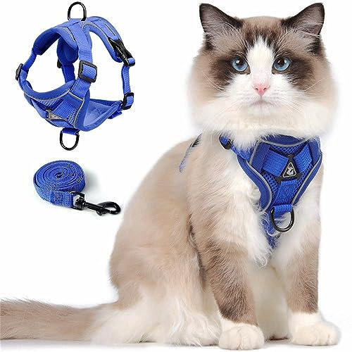 Cat Harness Katzengeschirr mit Leinen Set, Geschirr Katze Ausbruchsicher Verstellbares Katzenwestengeschirr mit Leine für Kleine Katzen, Weiche Netzjacke mit Reflektierenden Streifen (S, Blau)