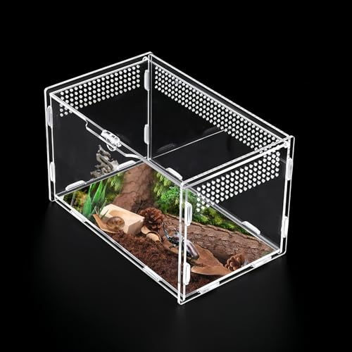 Goerpn Reptile Terrariums Stick Insect Enclosure 20×12×12cm | Transparent Acrylic Reptile Feeding Box Insect Habitat Terrarium Case for Spider Lizard Scorpion Geckos Centipede Horned Frog
