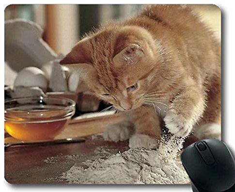 Mauspad, Mauspad für Tierkatze, Mauspad für Computer cat251