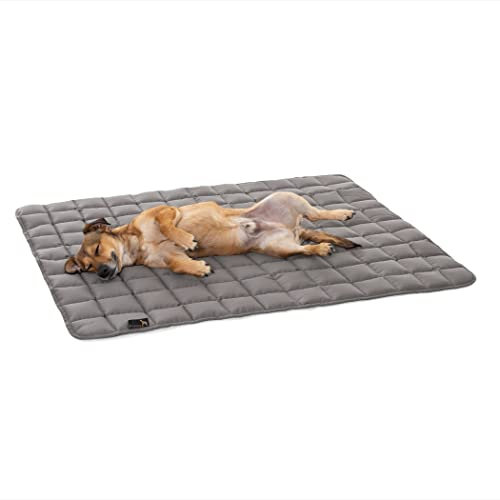 Pointer | Hundedecke 80 x 60 cm, Gepolstert & Strapazierfähig - Hundematte Waschbar bis 95°C, Liegedecke für Boden oder Sofaschutz - Outdoor geeignet (M - 80x60 cm, Hellgrau)