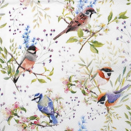 Ambiente Serviette Busy Birds 20 Stk. 33x33 cm Papier Frühling Motiv einseitig bedruckt Serviettentechnik Decoupage Basteln DIY