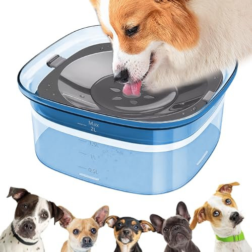 Gamelle d'eau sans renversement pour chiens : gamelle pour chien LEKEFETO 2L sans bavure, gamelle d'eau pour chien, gamelle à eau pour chien, pour chats et animaux domestiques, anti-fuite et