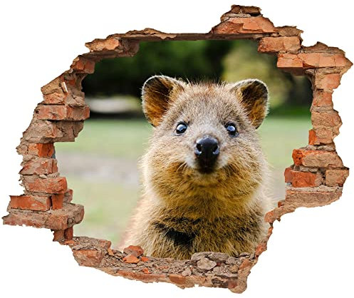 WCB Wandtattoo - Wanddurchbruch mit Aussicht auf Quokka 70 x 57 cm - Wandsticker