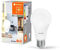 LEDVANCE SUN@HOME CLASSIC LED-Lampe, weiß, 12W, 1055lm, Glühlampenform & E27-Sockel, biodynamische Funktion, regulierbares Weißlicht (2700-6500K), dimmbar, App- oder Sprachsteuerung, 4er-Pack